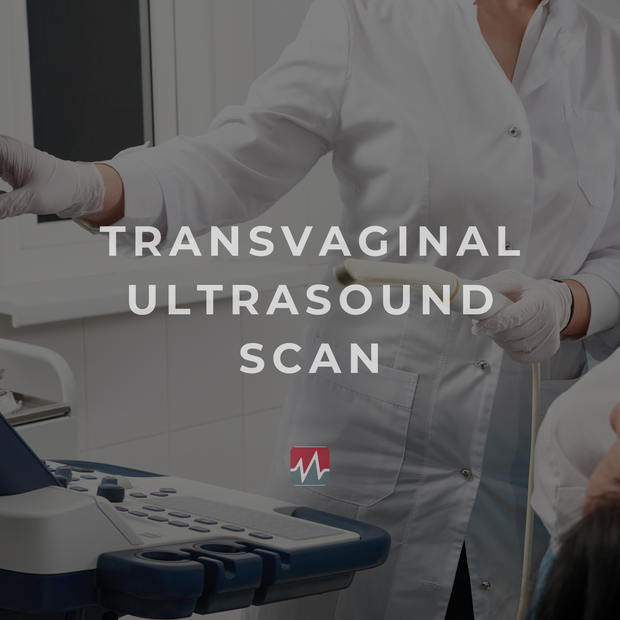 Transvaginal Ultrasound Scan
